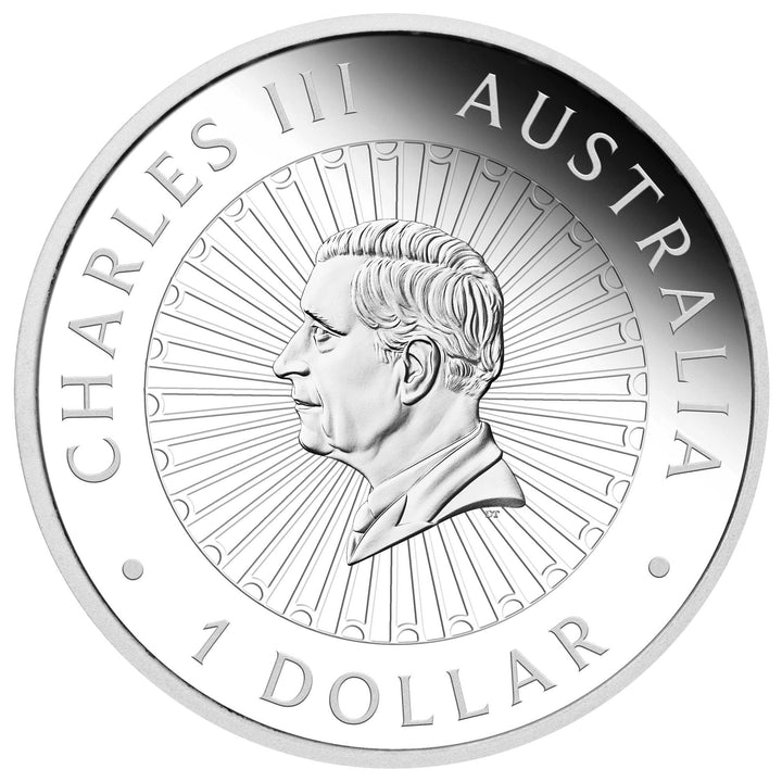 Coin 2025 Great Southern Land 1Oz Ag Proof Snakeskin Jasper