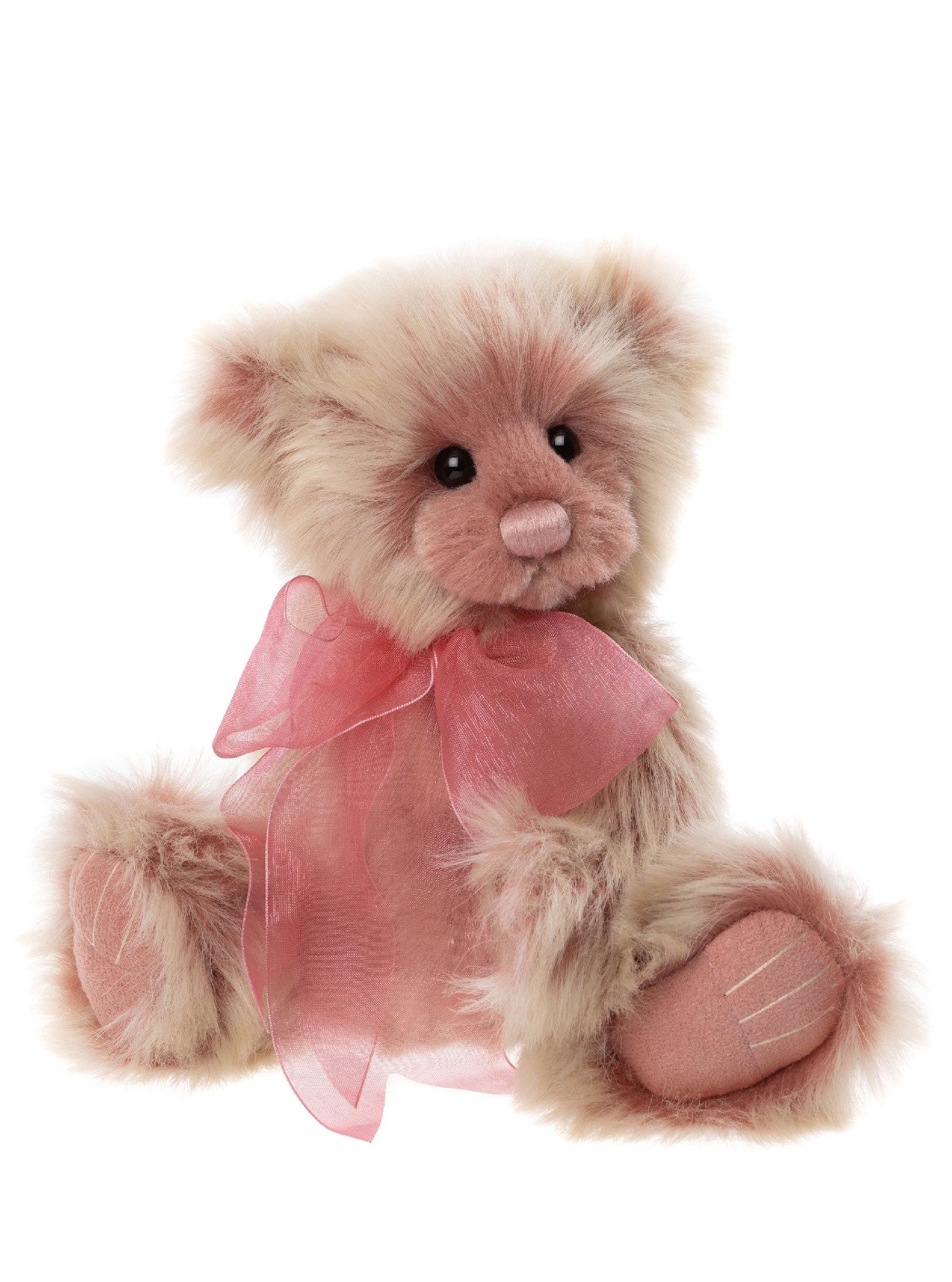 Charlie Bear - Saturday