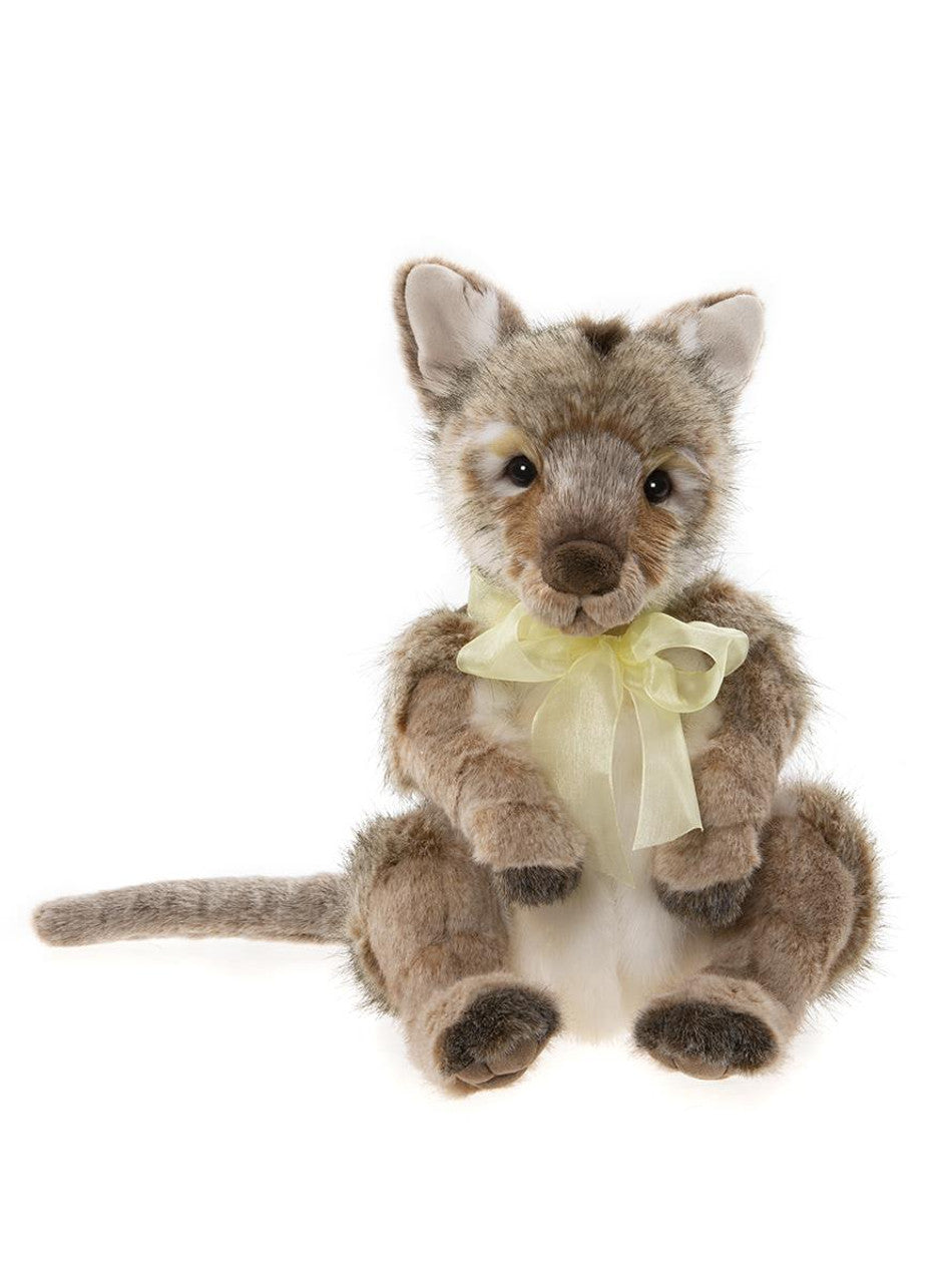 Charlie Bear - Australia