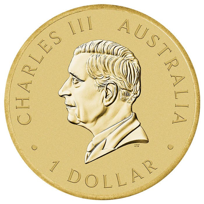Coin 2026 Australian Citizenship $1 